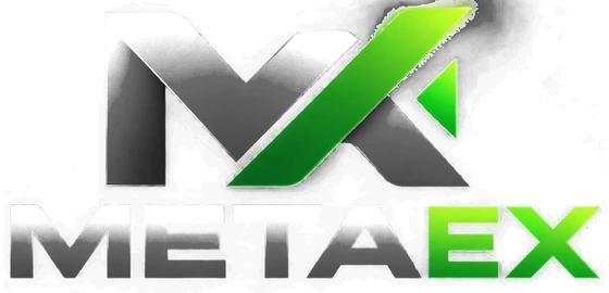 MetaEX Agência Digital